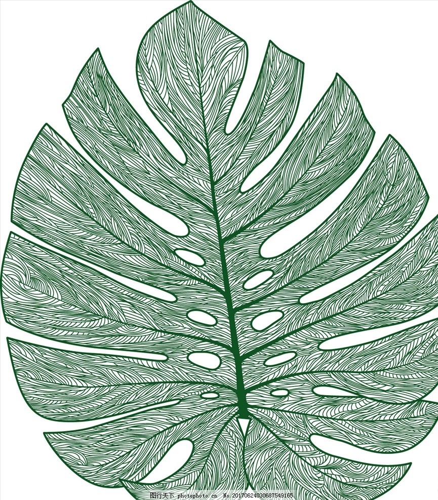 葡萄为什么要扦插